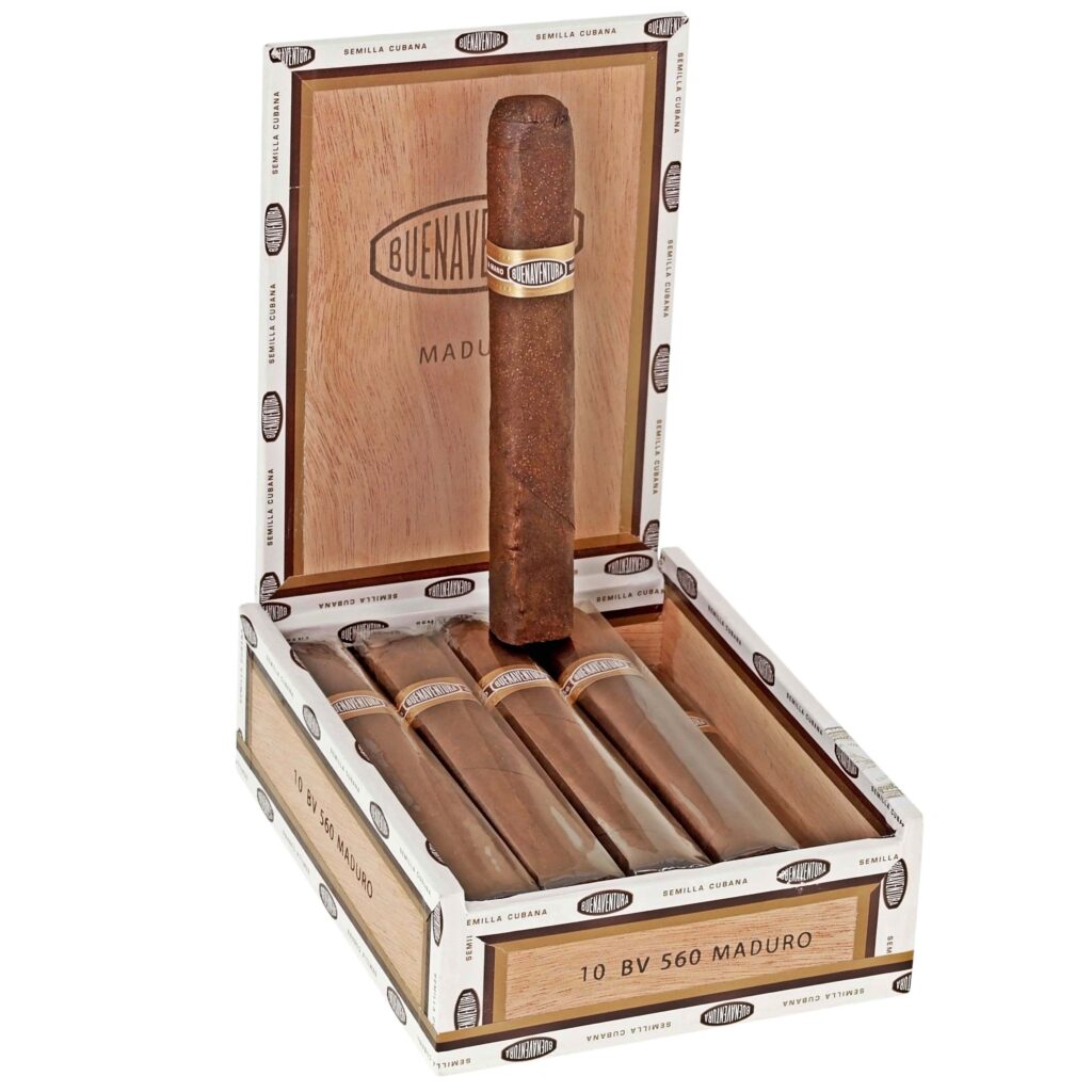 BV-560-Maduro-1024×1024