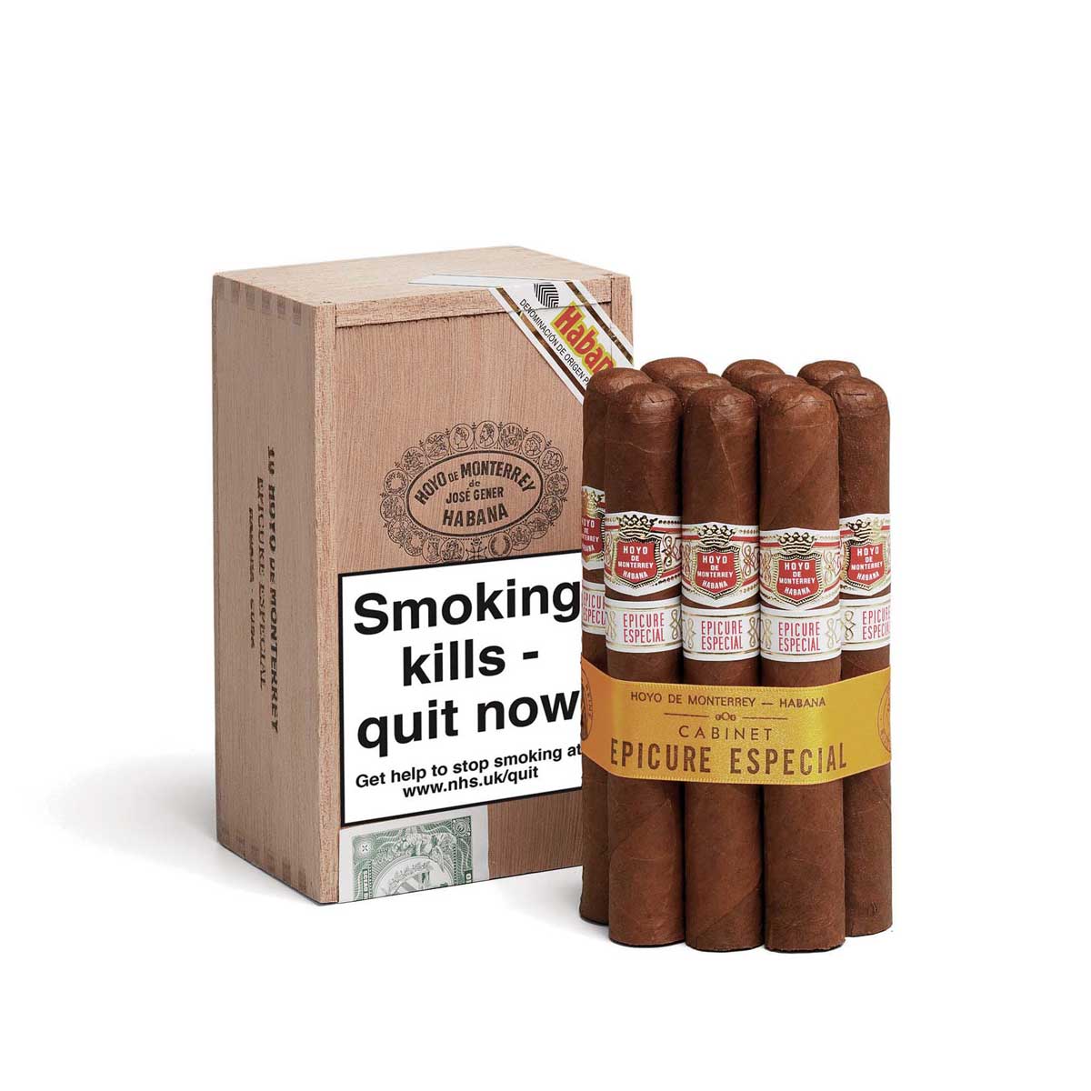 Hoyo de Monterrey Epicure Especial box of 10